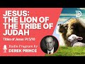 Titles of Jesus 5  of 10 - The Lion of the Tribe of Judah