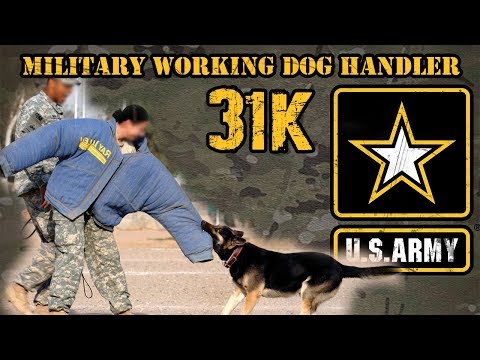 Descripción Del Trabajo Del Ejército: 31k Adiestrador De Perros De Trabajo Militar