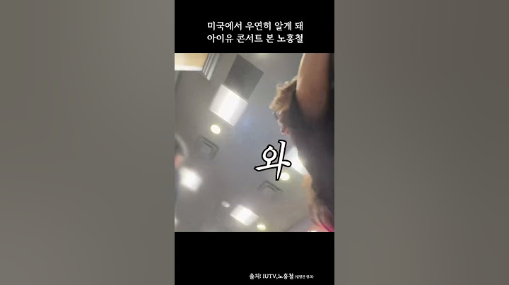 미국에서 우연히 아이유 만난 노홍철