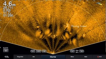 Garmin Livescope Perspective Barramundi Footage