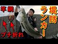 堤防からランカーシーバス釣り上げたら高級ロッドと網がブチ折れました【茨城県久慈川河口】