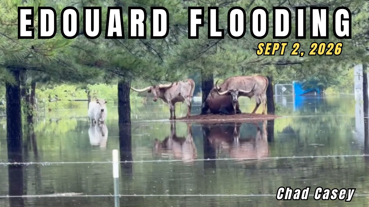 TD Edouard Prompts Flash Flood Emergency in Southeast Texas - Sept 2, 2026