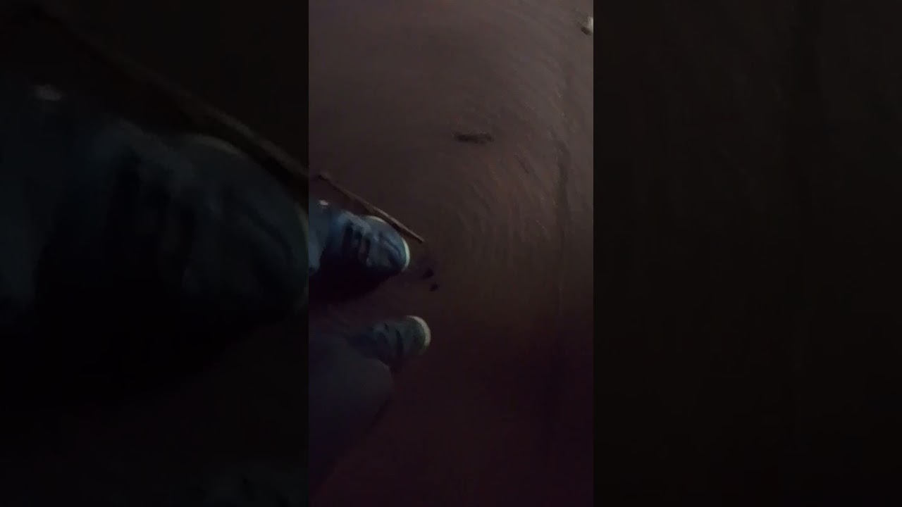 9 ноября 2024 г.