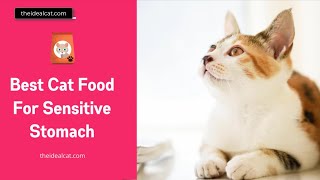 Best Cat Food for Sensitive Stomach, Diarrhea & Hairballs [Reviewed in 2020] by The ideal Cat 3,080 views 3 years ago 9 minutes, 28 seconds