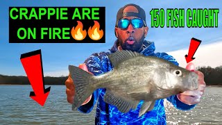 CRAPPIE FISHING is on FIRE at this LAKE