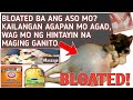 bloated dog / home remedies