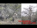 The Sultanpur Bird Sanctuary