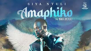 Siya Ntuli ft Big Zulu  Amaphiko  