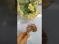 عشبه حيرت الأطباء فيها ياريت عرفتها من زمان 