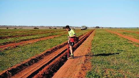 Carbon Neutral - Growing a Nature Positive Future