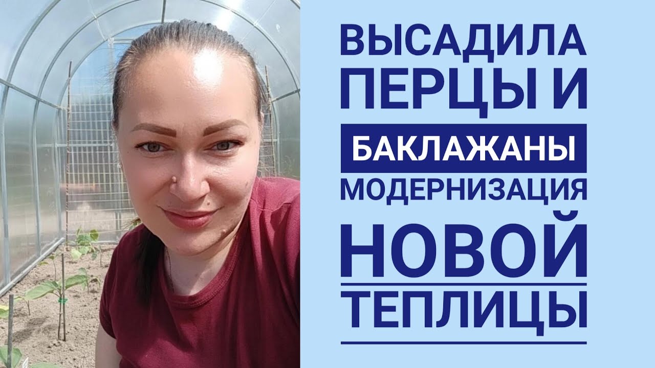 САЖАЕМ ПЕРЦЫ И БАКЛАЖАНЫ В ТЕПЛИЦУ. МОДЕРНИЗАЦИЯ НОВОЙ ТЕПЛИЦЫ. - YouTube