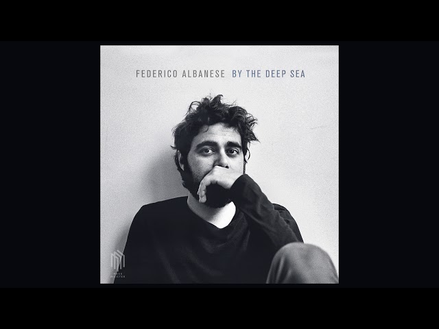 Federico Albanese - Mauer Blues