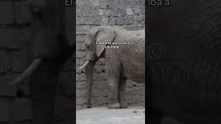 no todos entenderán #viral #shorts #video #women #memes #humor #parati #fail #fps #fpy #tiktok #prt