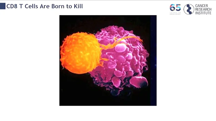 Basics of Immunotherapy with Dr. Charles Drake  NY...