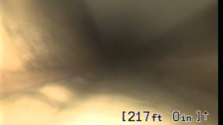Invoice # 22748 - 6/25/15 (2nd Cleanout, Video 2)