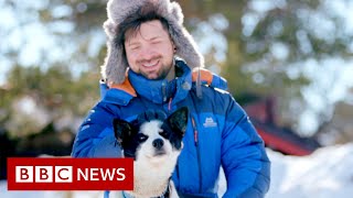 Dog nose prints could help identify missing pets – BBC News screenshot 3