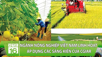 Ngành nông nghiệp Việt Nam linh hoạt áp dụng các sáng kiến của CGIAR | VTC16