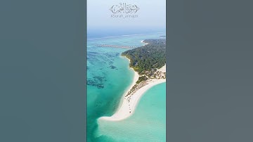 سورة النجم 🌺 صوت عذب ينير دربك بالإيمان | Surah An-Najm 🌺 A Melodious Voice That Lights Your Path