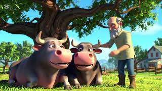 او بیلوں کی کہانی کالا اور