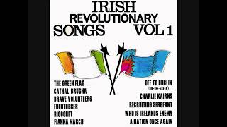 Declan Hunt - Irish Revolutionary Songs | Full Album | Irish Rebel