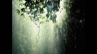 Paul Vanpoucker - Sonic Rain