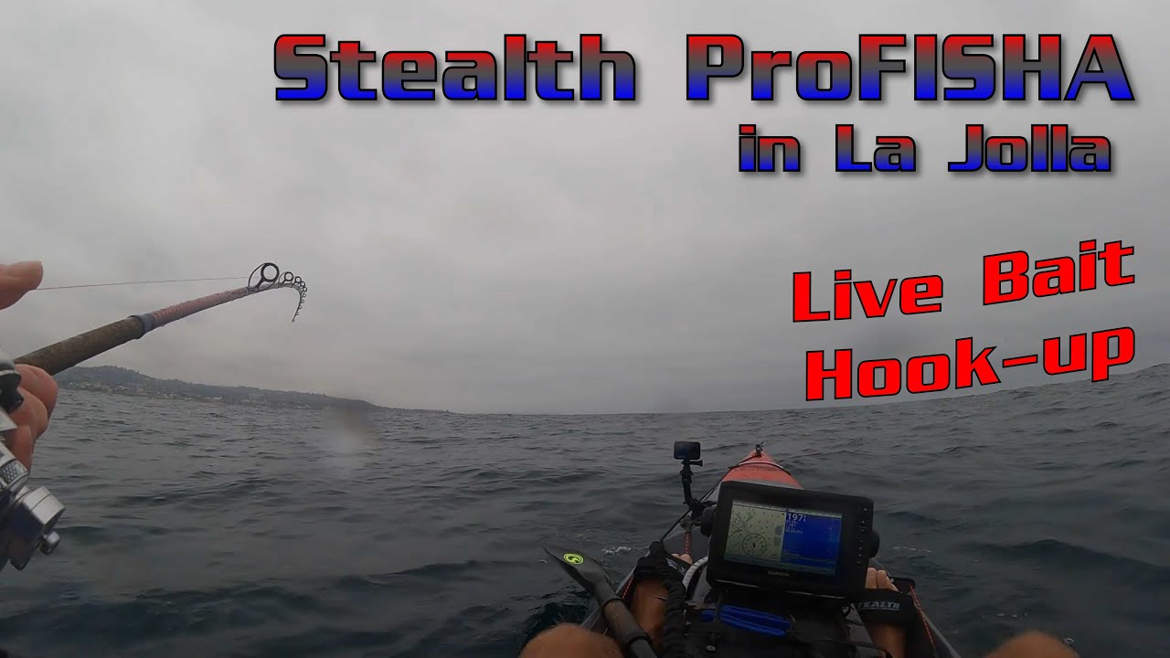 Another one gets away...LIVE BAIT hook-up in LA JOLLA