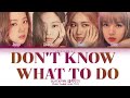 BLACKPINK 블랙핑크 Don T Know What To Do Color Coded Lyrics 가사