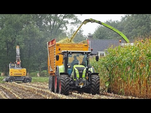 Mais hakselen 2019 ? Claas Jaguar 840 + Claas Arion 660 + Ljungby Tier 4f ? Lagerweij ? Renswoude.