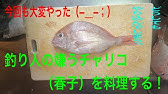 小鯛 こだい のさばき方 姿卸し How To Filet Crimson Sea Bream Ver Sugata Oroshi 日本さばけるプロジェクト 海と日本プロジェクト Youtube 小鯛 こだい のさばき方 姿卸し How To Filet Crimson Sea Bream Ver Sugata Oroshi 日本さばけるプロジェクト 海と日本プロジェクト Youtube