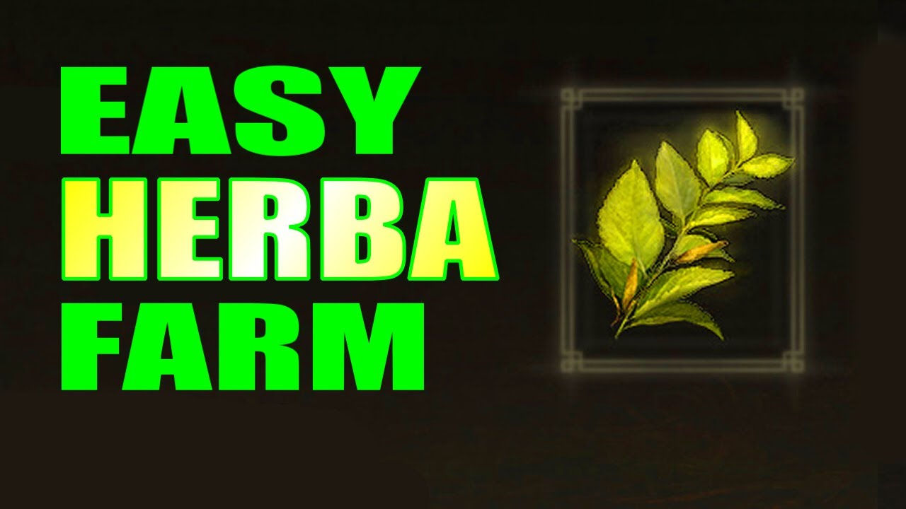 Elden Ring HERBA FARM (Best Early Game Location) YouTube