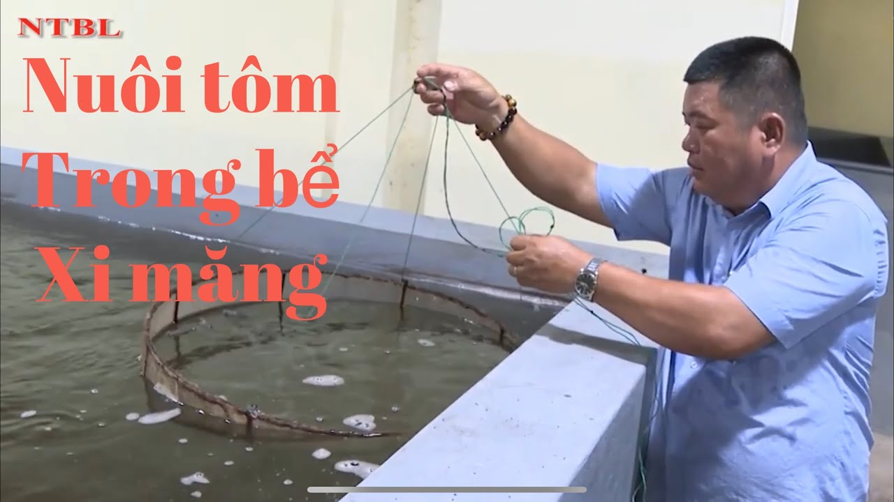 NUÔI TÔM KHÉP KÍN TRONG NHÀ