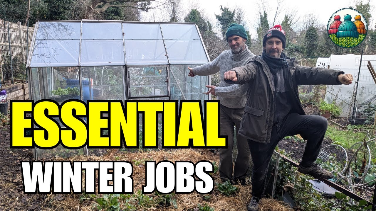 Don’t wait until SPRING!!! Essential allotment prep starts NOW