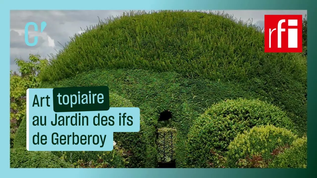 Art topiaire au Jardin des ifs de Gerberoy • RFI