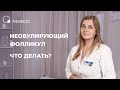 Неовулирующий фолликул. Что делать? | Клиника профессора Феськова А.М.