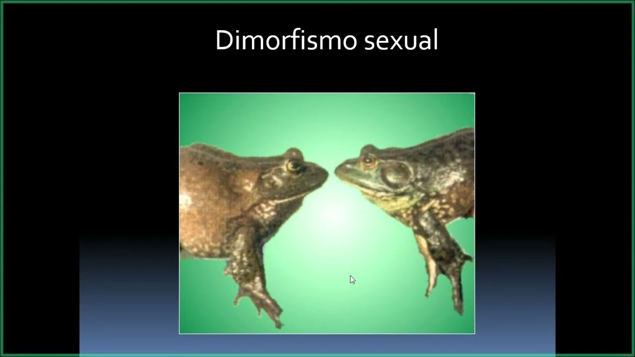 Cultivo de especies de organismos acuáticos no convencionales