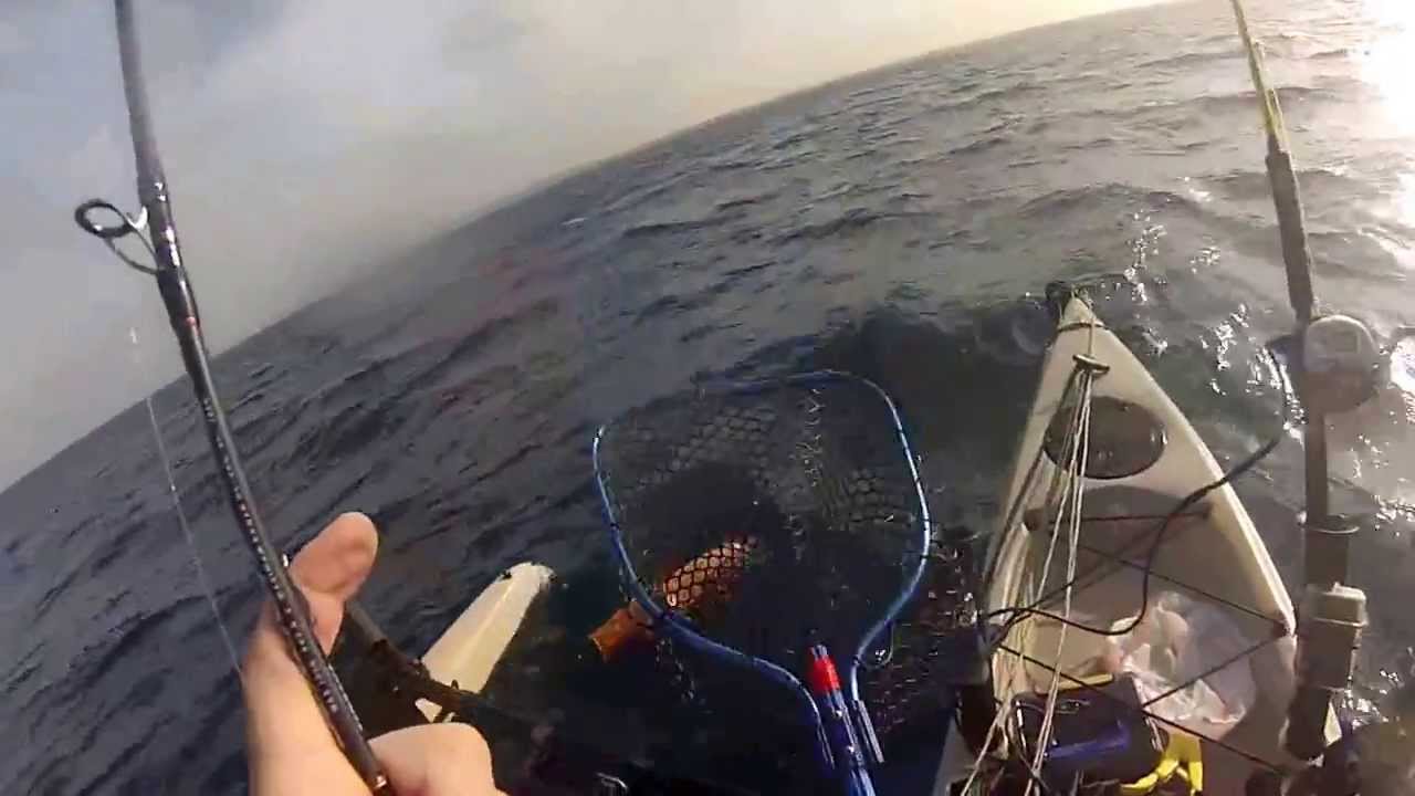 Israel Kayak Fishing 4.01.2014 (לוקוסים 3 יח טוניות 2 יח)