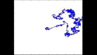 Random Walk In Two Dimension