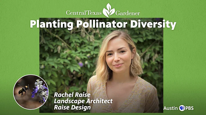 Planting Pollinator Diversity: Rachel Raise