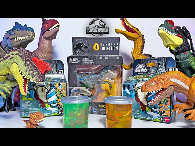 NEW u0026 50 SPECIES of Jurassic World Carnivorous Dinosaurs! Allosaurus, Carnotaurus, Suchomimus class=