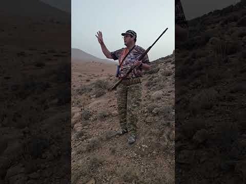 القنص المغرب الشرقي الحجل القناصا    جيل ز لا للحكرة والظلم اختفاء الحجل اليوم