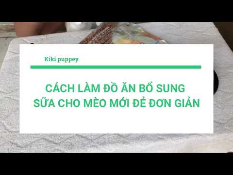 Cách làm món ăn bổ dung sữa cho mèo mẹ- Chăm sóc mèo đẻ