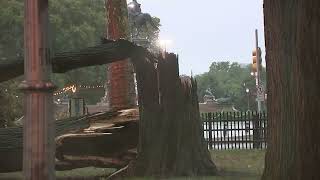 Severe storms bring down trees throughout Delaware Valley region