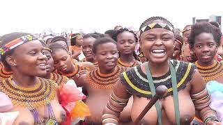 King Mswati Wives — Reed Dance 2021