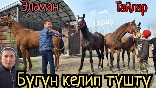 САТЫЛЫП КЕТТИ БААРЫ  тайлар