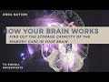 HOW YOUR BRAIN WORKS (SERIES 3)