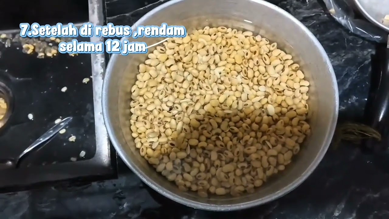 Proses pembuatan tempe 