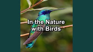 Relaxing Bird Sounds Cozy Day and Night To Loop for 24 Hours screenshot 4