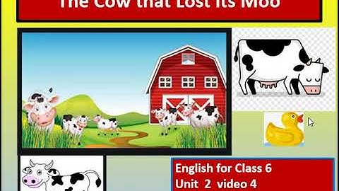 English for Class 6 Unit 2 Video 4
