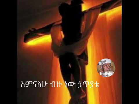 አምናለሁ ብዙ ነው ሀጥያቴ