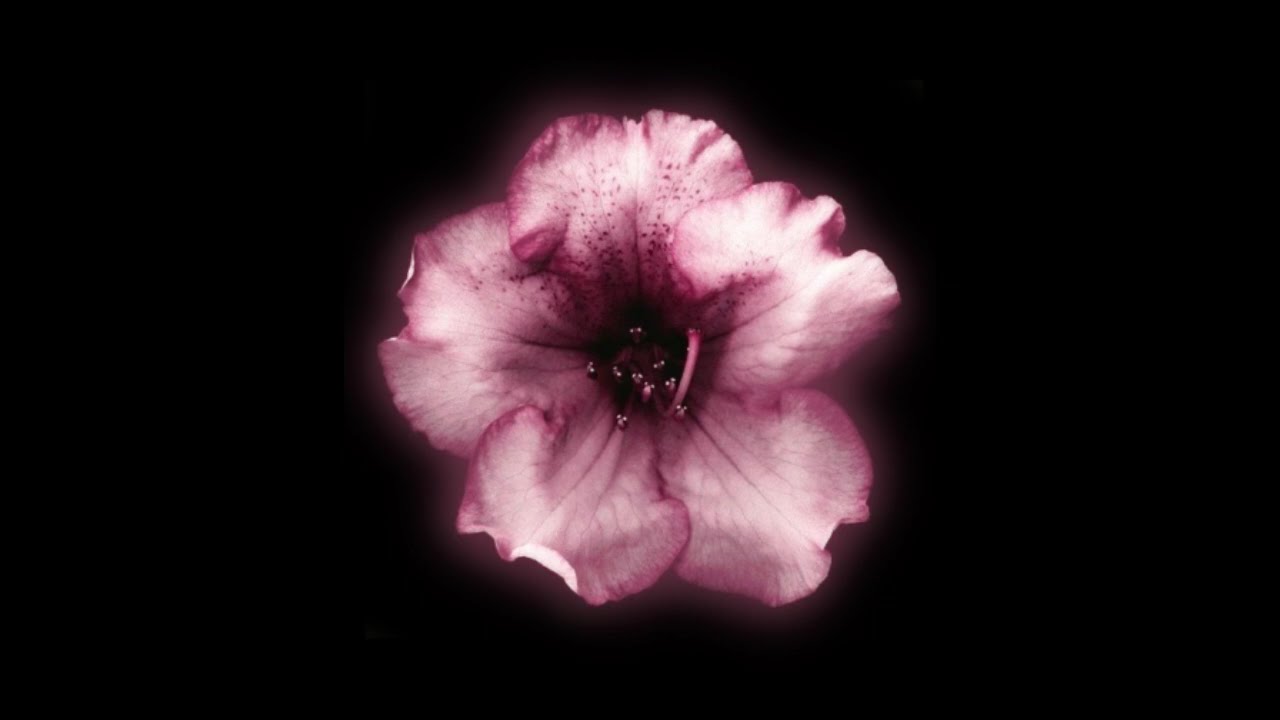 ✩ Random Sped Up & Slowed edit audios bc ITS VALENTINES DAY  pt43 + timestamps !! ✩